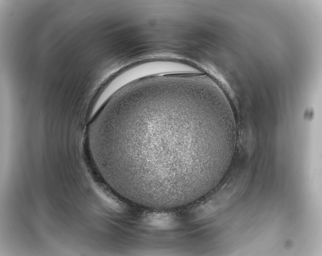 X0000099490063200805221347