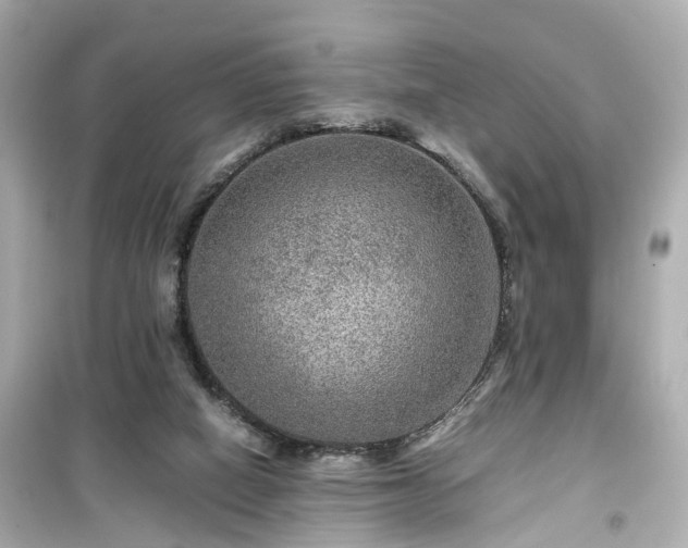 X0000099490066200805221347