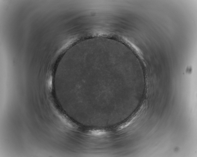 X0000099490067200805221347