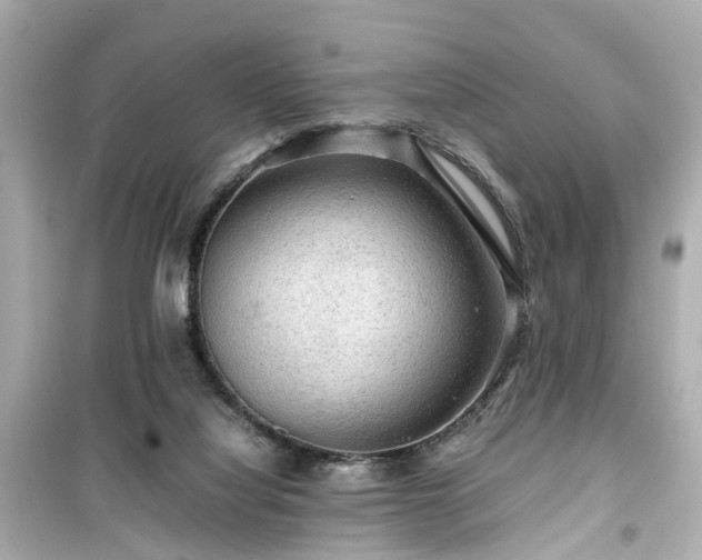X0000099490068200805221347
