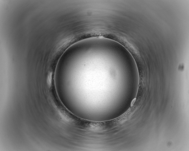 X0000099490070200805221347