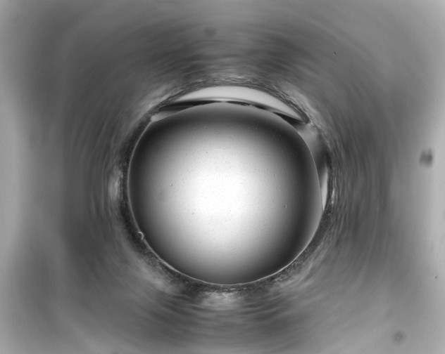 X0000099490071200805221347