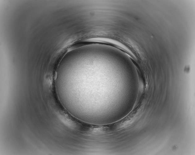 X0000099490072200805221347