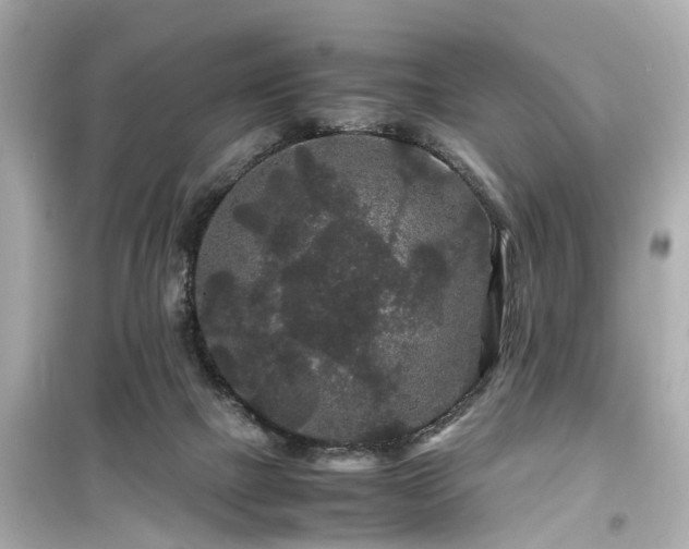 X0000099490073200805221347