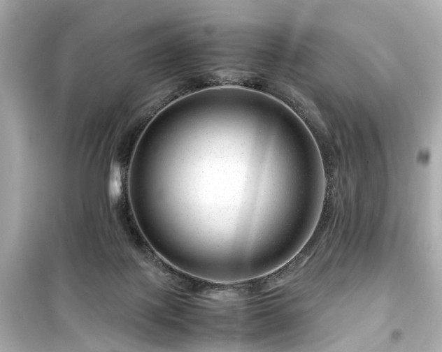 X0000099490075200805221347
