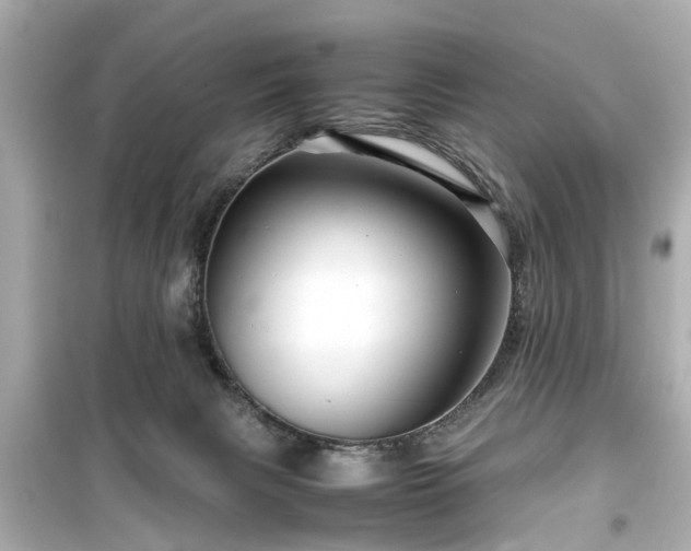 X0000099490079200805221347
