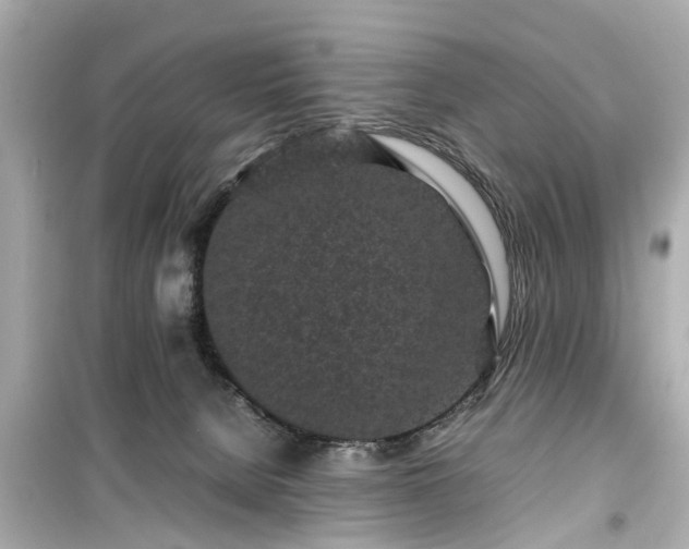 X0000099490080200805221347