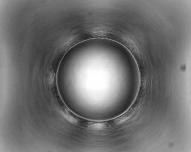 X0000099490081200805221347