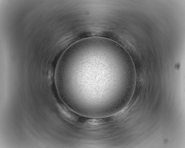 X0000099490082200805221347
