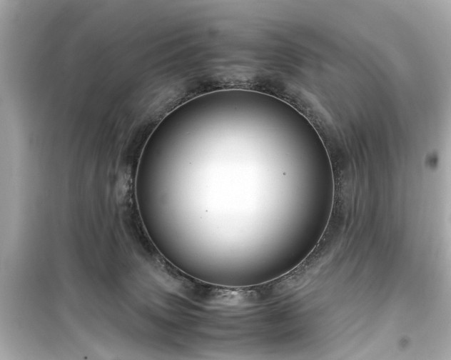 X0000099490083200805221347