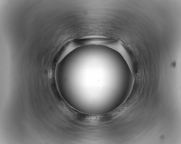 X0000099490084200805221347