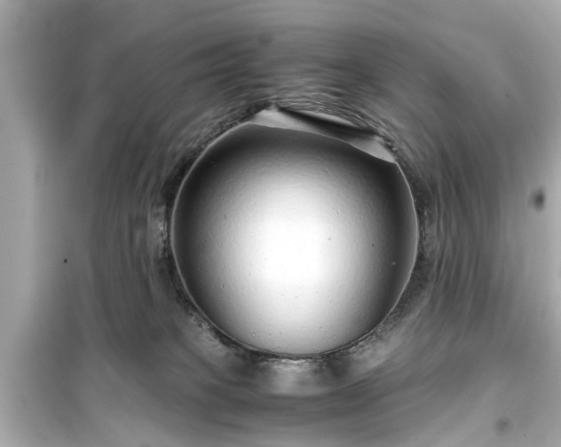 X0000099490085200805221347