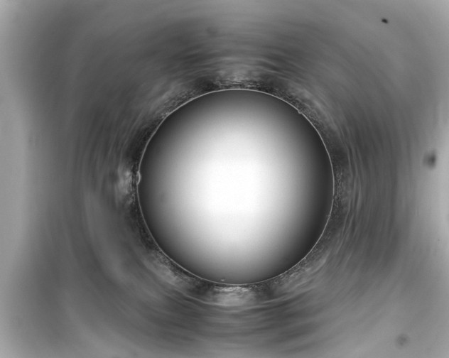X0000099490087200805221347