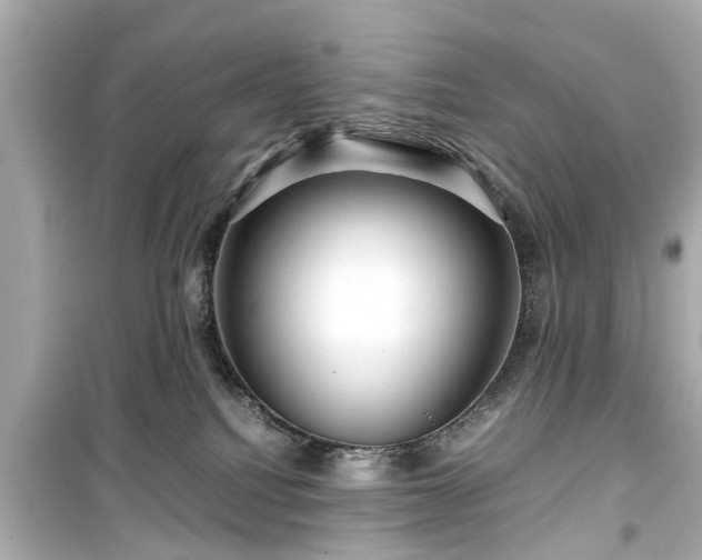 X0000099490088200805221347