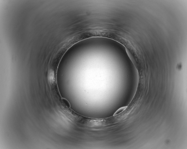 X0000099490089200805221347