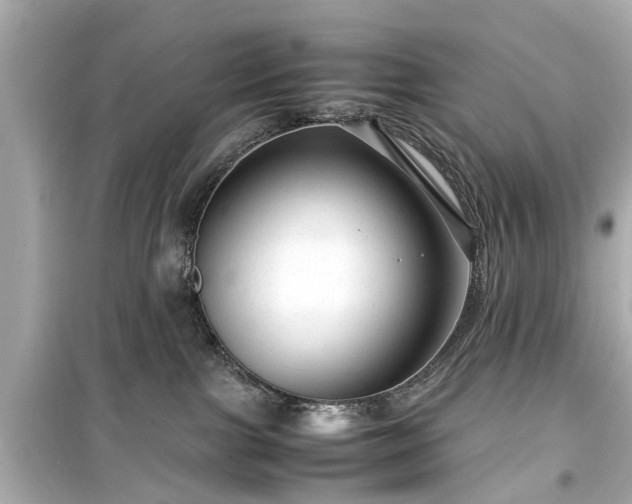 X0000099490091200805221347