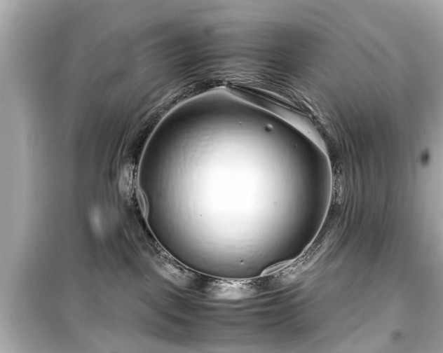 X0000099490093200805221347