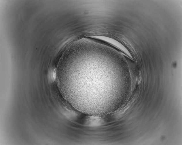 X0000099490095200805221347