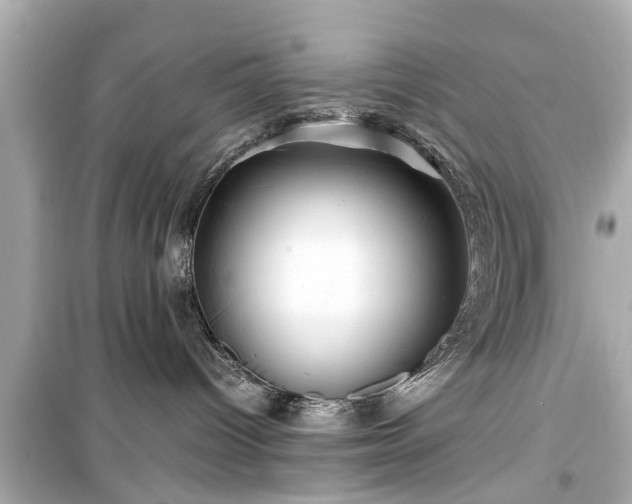 X0000099490096200805221347