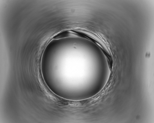 X0000099490097200805221347