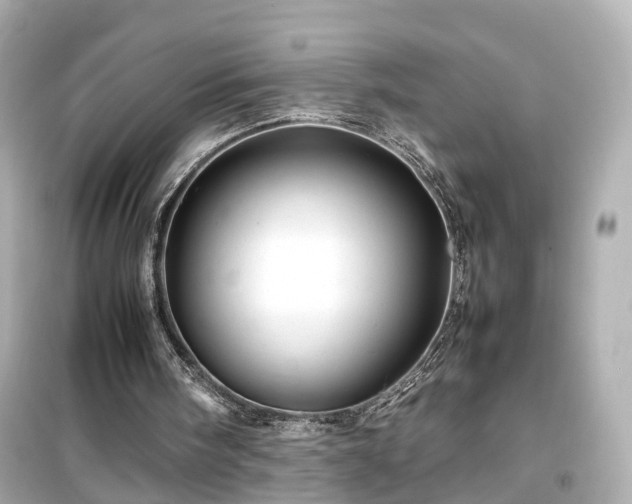 X0000099490098200805221347