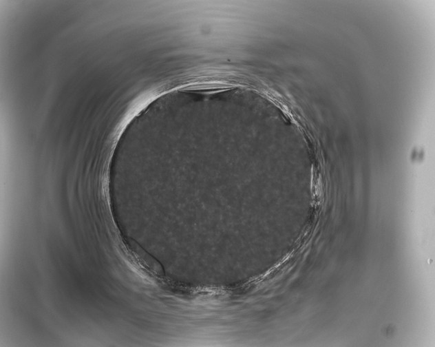 X0000099490099200805221347