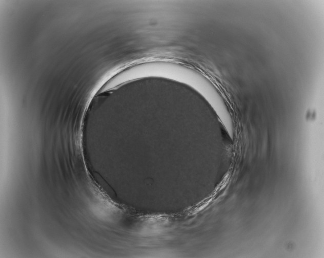 X0000099490100200805221347