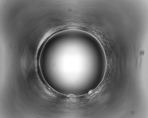 X0000099490102200805221347