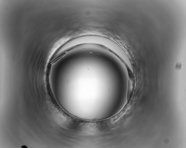 X0000099490104200805221347