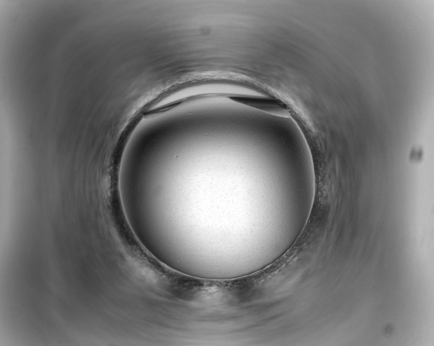 X0000099490111200805221347