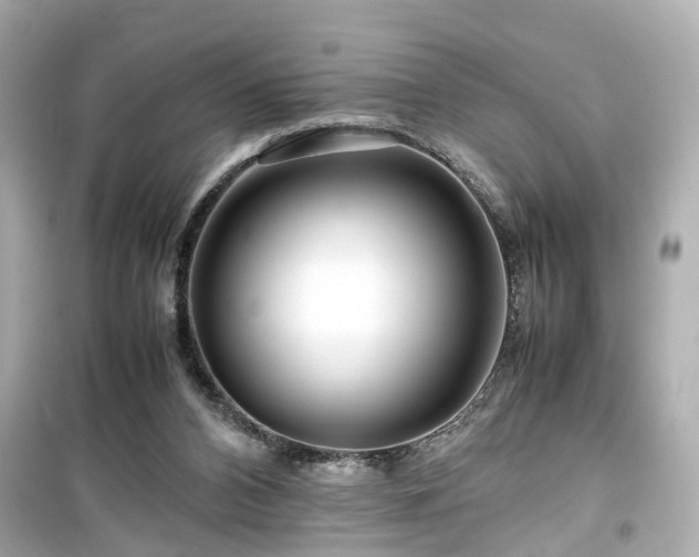 X0000099490112200805221347