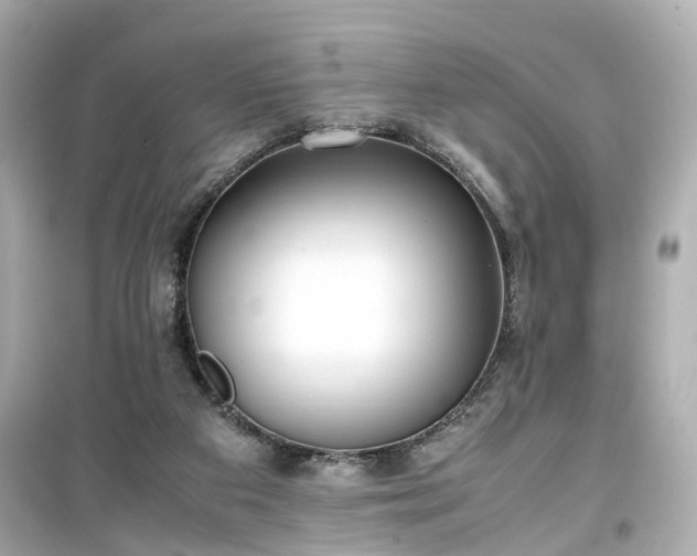 X0000099490113200805221347