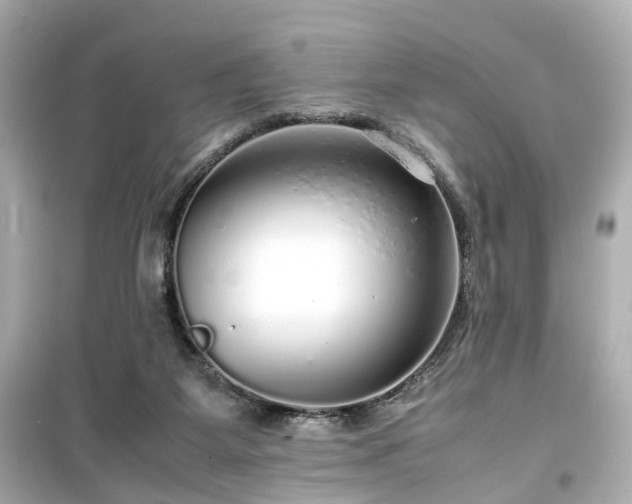 X0000099490115200805221347