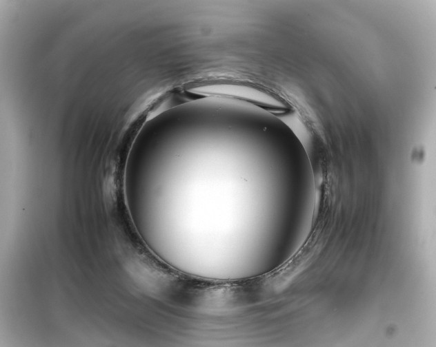 X0000099490116200805221347