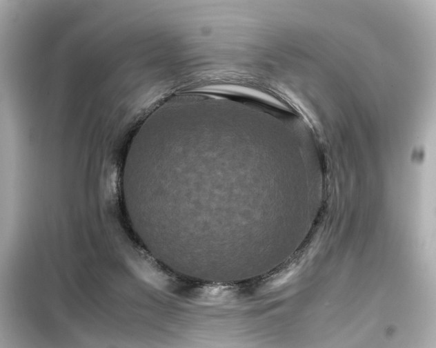 X0000099490117200805221347