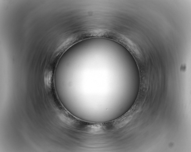 X0000099490118200805221347