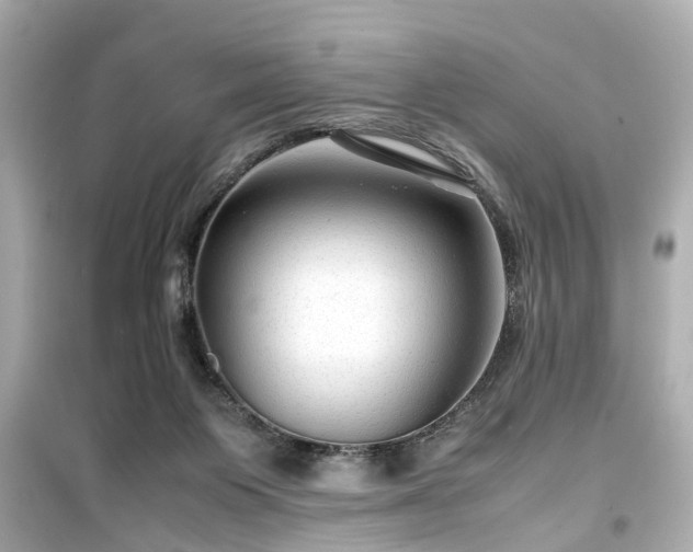 X0000099490119200805221347