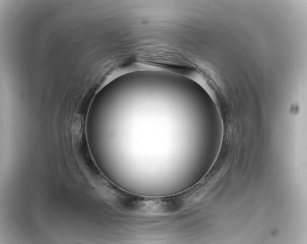 X0000099490121200805221347