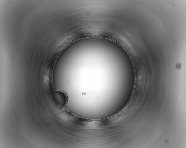 X0000099490122200805221347