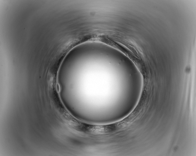 X0000099490123200805221347