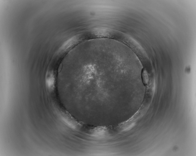 X0000099490124200805221347