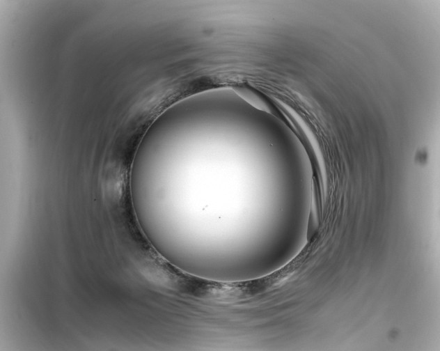 X0000099490125200805221346