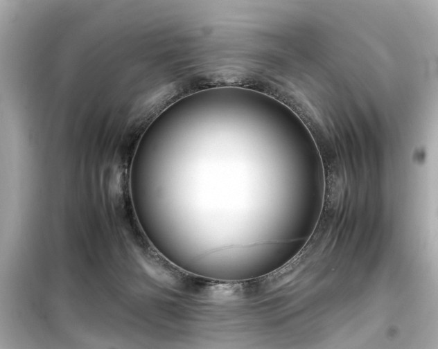X0000099490126200805221346