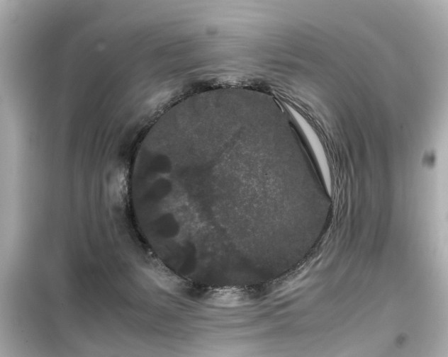 X0000099490127200805221346