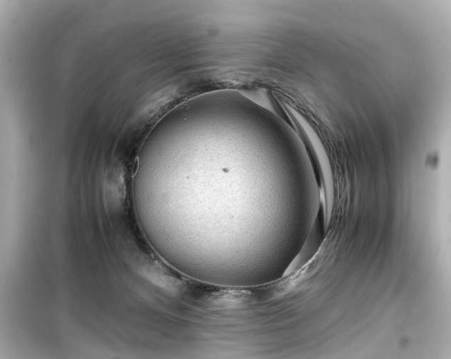 X0000099490128200805221346