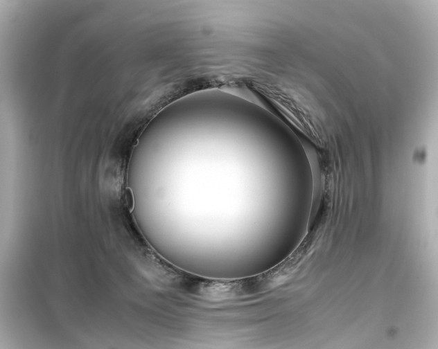 X0000099490129200805221346