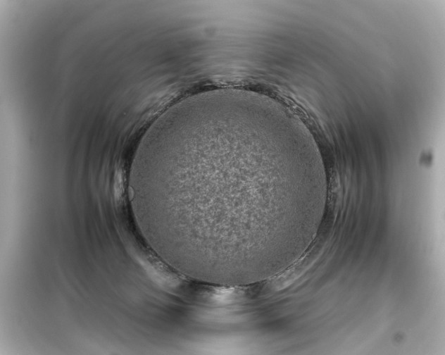 X0000099490130200805221346