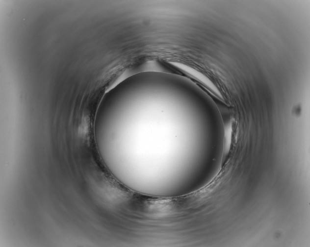 X0000099490132200805221346