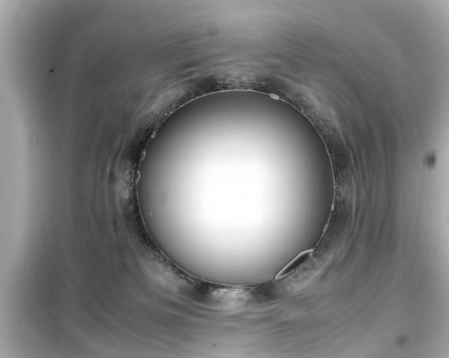 X0000099490133200805221346
