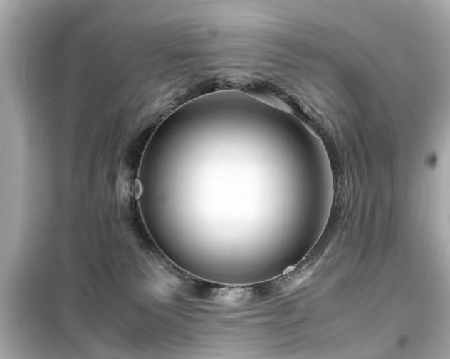 X0000099490135200805221346